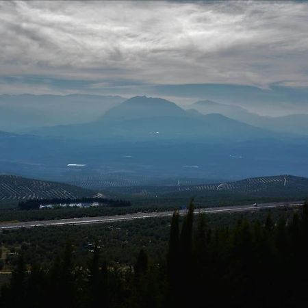 巴埃萨Mirador Del Guadalquivir公寓 外观 照片