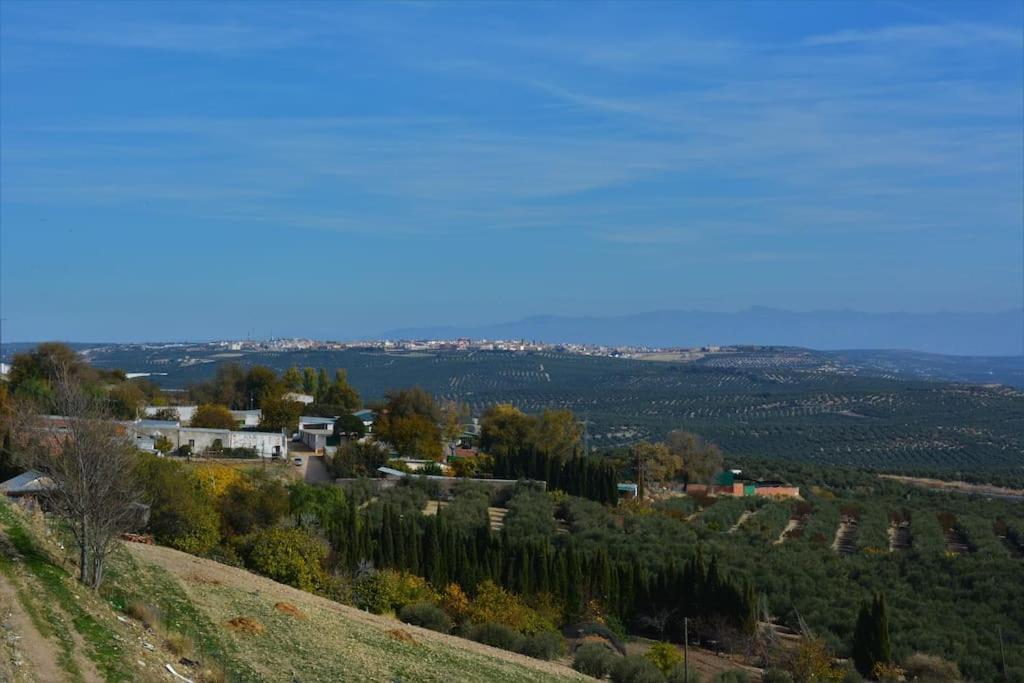 巴埃萨Mirador Del Guadalquivir公寓 外观 照片